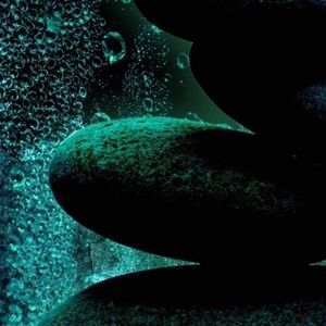 Meet your Posher, Alan